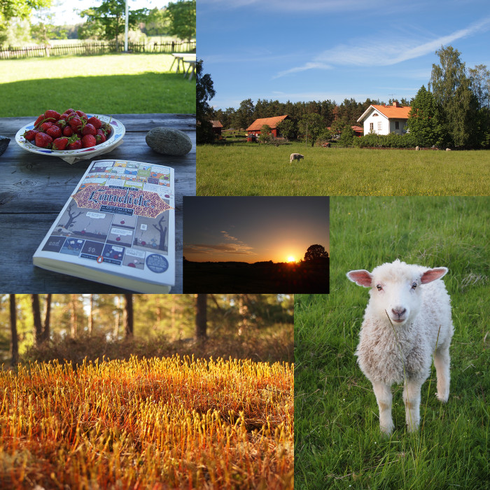 Pigge, Erdbeeren, Voltaire, Sonnenuntergang um 21:30 - Sommer in Schweden at its best!