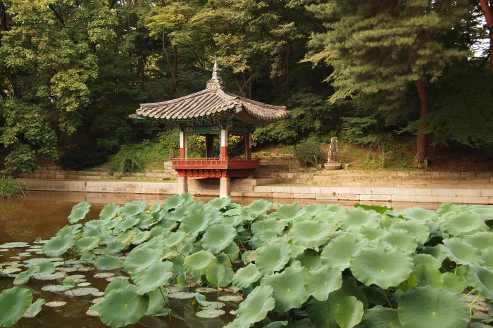 The lotus pond in Huwon secret garden of Changdeokgung palace in Seoul. Flowers in July. Maybe next time ;-)