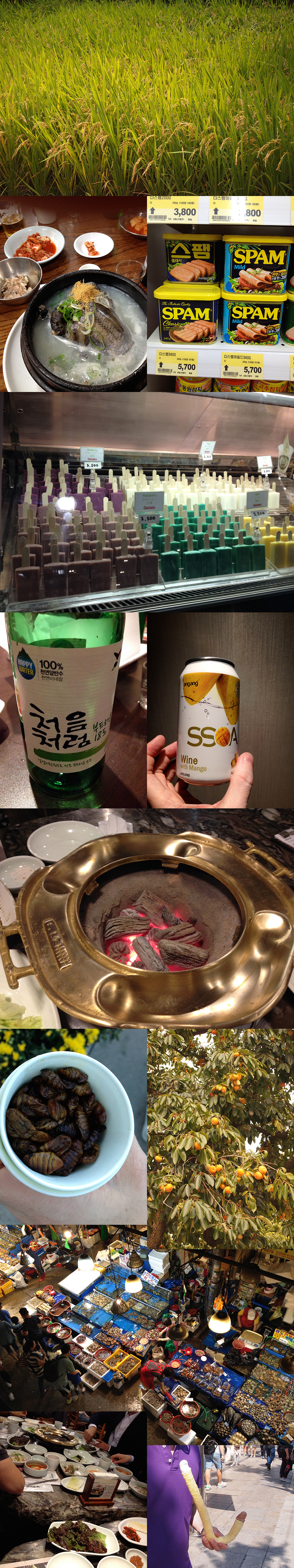 Eat & drink in Korea - from top to bottom, left to right: rice, chicken hangover soup with black chicken and wild ginseng (kimchi - see top left image corner), "spam" (canned ham), ice cream in weird colors on sticks, Soju (national drink No.1, a kind of light vodka-y beverage - I like the fact they label it "Happy Water" ;-)), wine with mango (Asia is not really good with wines, no sir!), table coal bbq, silkworm larvae (yumyum), persimon, all kinds of sea monsters at Noryangjin fish market, table bbq with endless amounts of dishes in bowls, and finally: the mysterious double-ended whale-penis icecream :-D