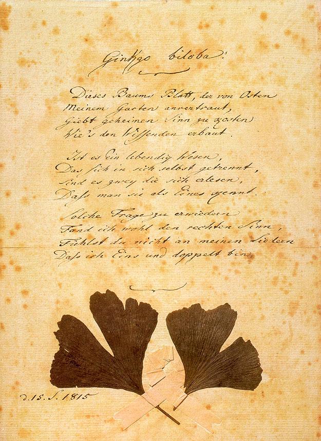Goethes Gedicht "Gingo biloba"